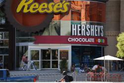 Photo of Mixed Textures